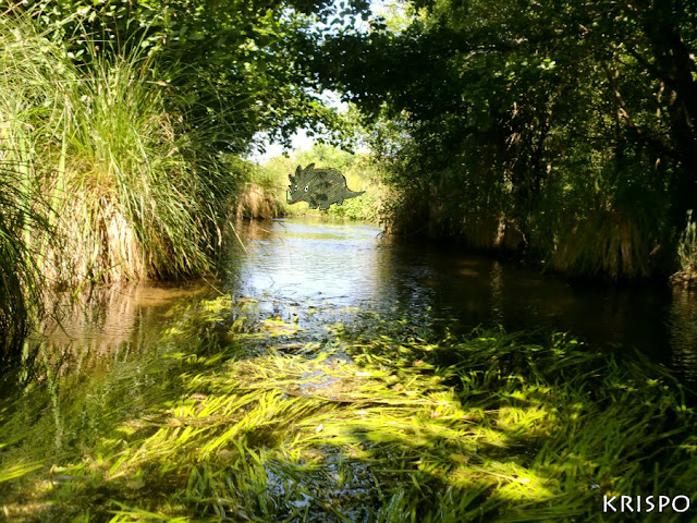 riachuelo del lago leon