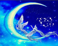 blazingphoenix january 2016 phoenix bird facts