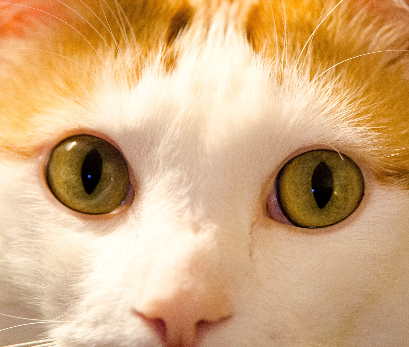 Pratts Photography Lesson 2 Composition