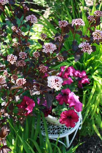 .: The flower garden