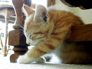 !cid image011 jpg@01CAB09A