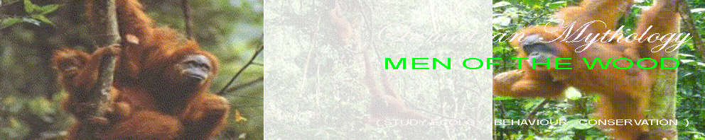 SUMATRAN MITHOLOGY ( MEN OF THE WOOD ) STUDY CONSERVATION