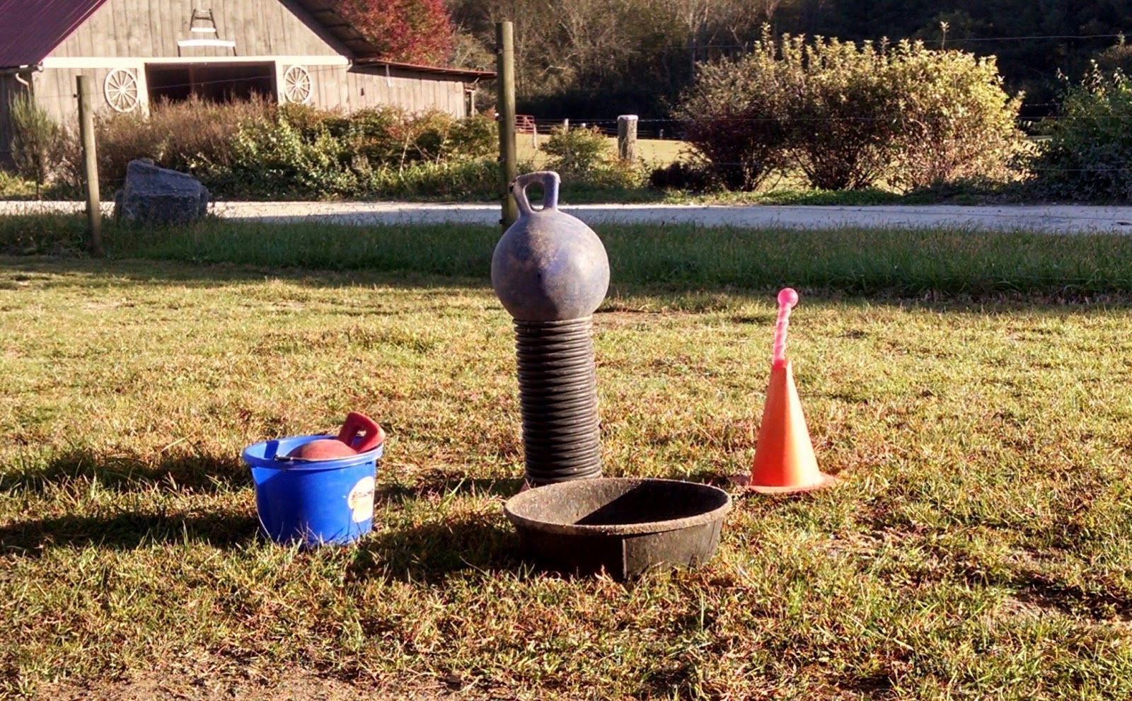 Our Tiny Farm in Western NC Pictures of Our MiniDonkeys