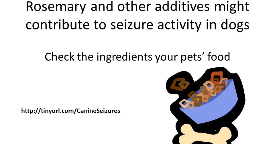 Pet Education Canine Epilepsy Check Your Dog's Food Ingredients