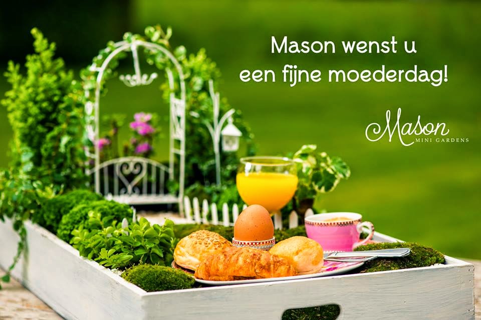 Mason Mini Gardens Moederdagtuin