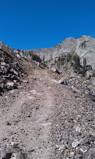 White Pine Trail Alta Utah