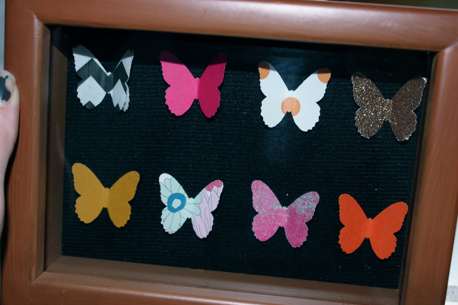 Daisy Dreaming DIY Butterfly shadow box