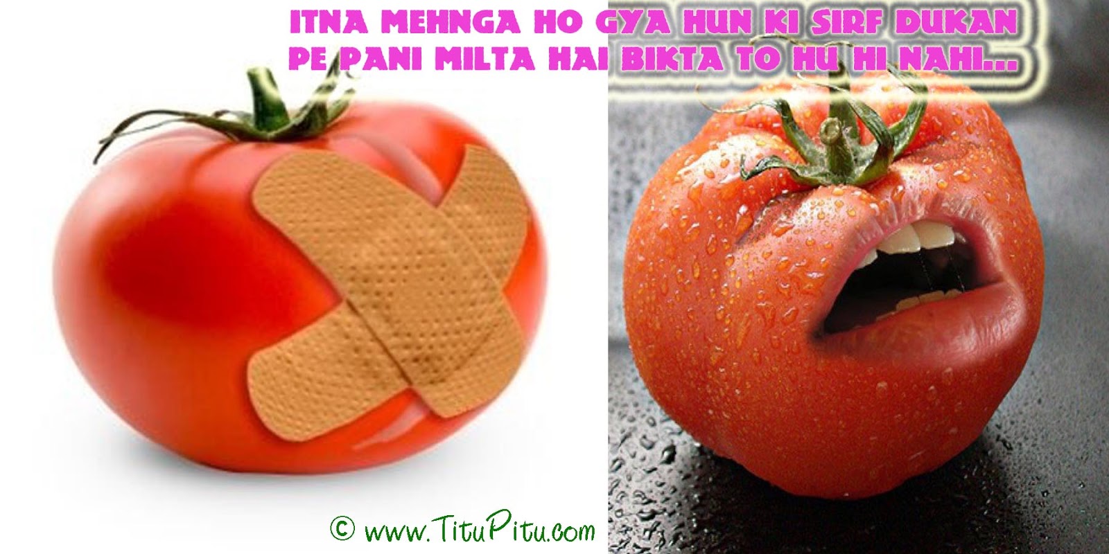 Hindi joke on tamater आज टमाटर अपनी बेज्जती का खूब बदला ले रहा है