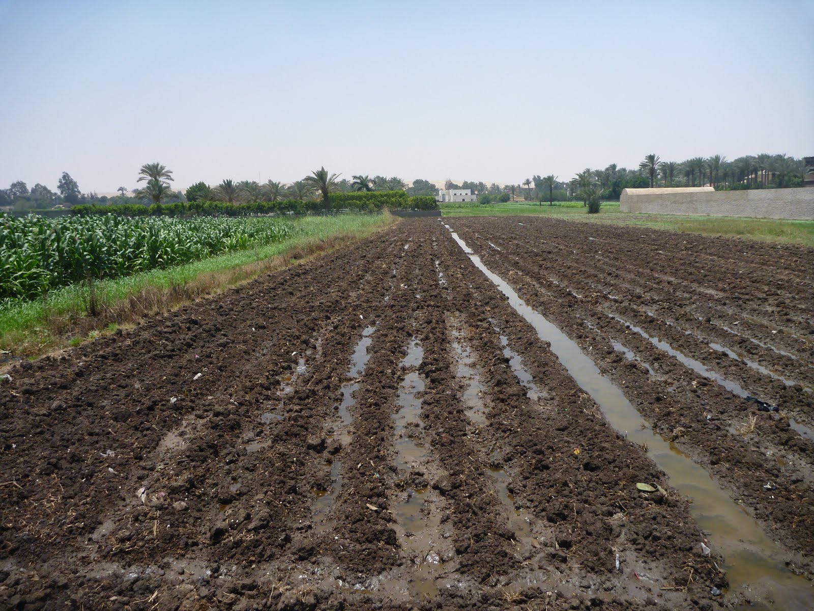 Ancient Egypt on emaze