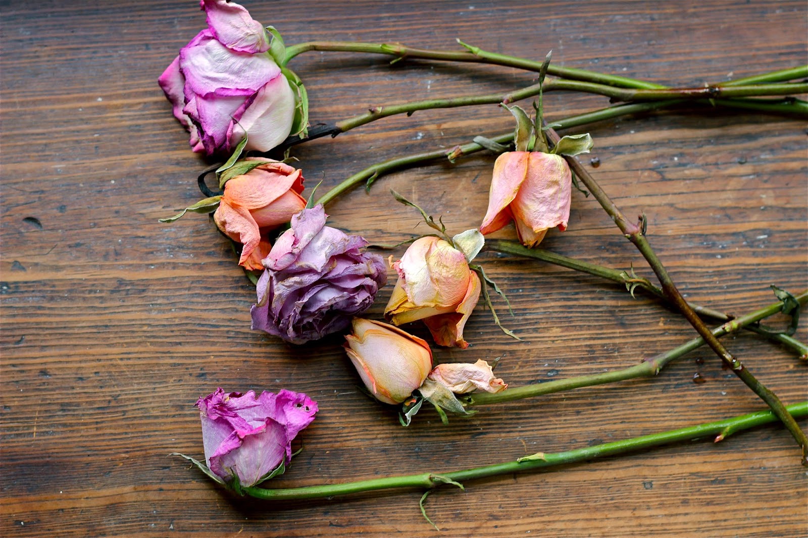 DIY Rose Rope Garland Dina's Days