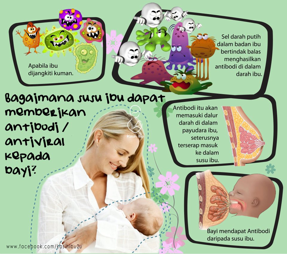 + adela is the name + Kebaikan Susu Ibu Pada Tubuh Bayi
