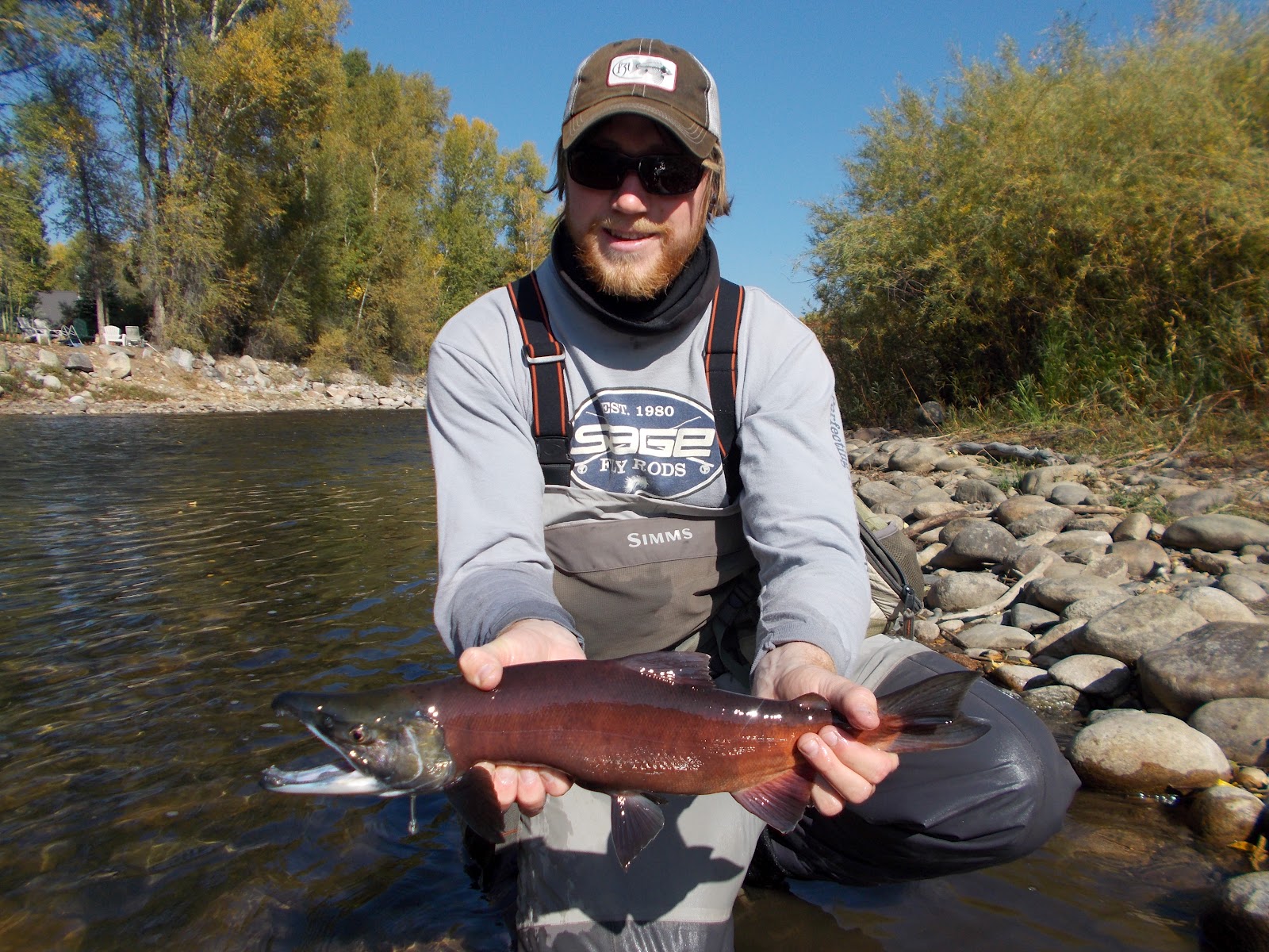Addictive Angling Colorado Kokanee Salmon on the Move out West