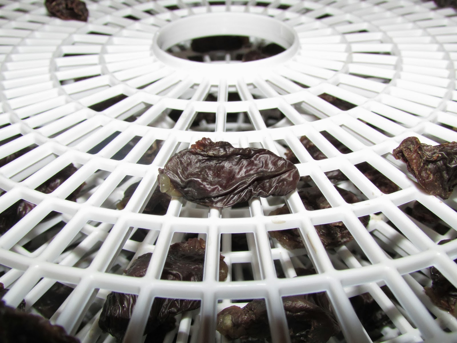 My Rotten Dogs Homemade Dehydrated Chicken Dog Treats