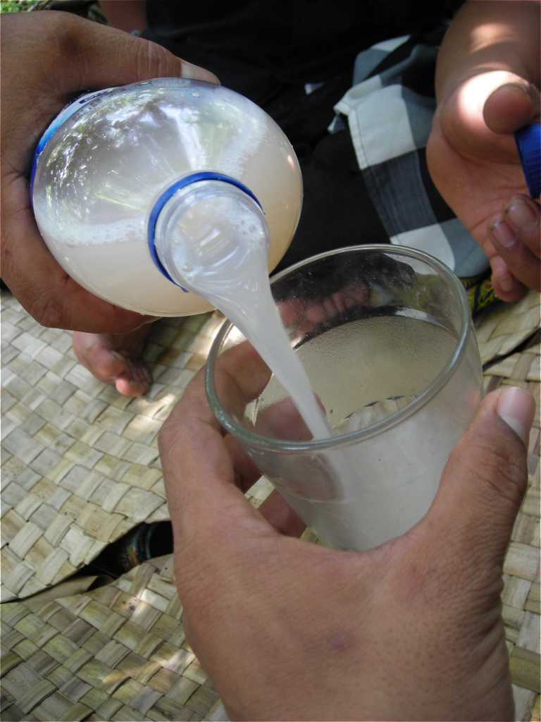 Minum Tuak