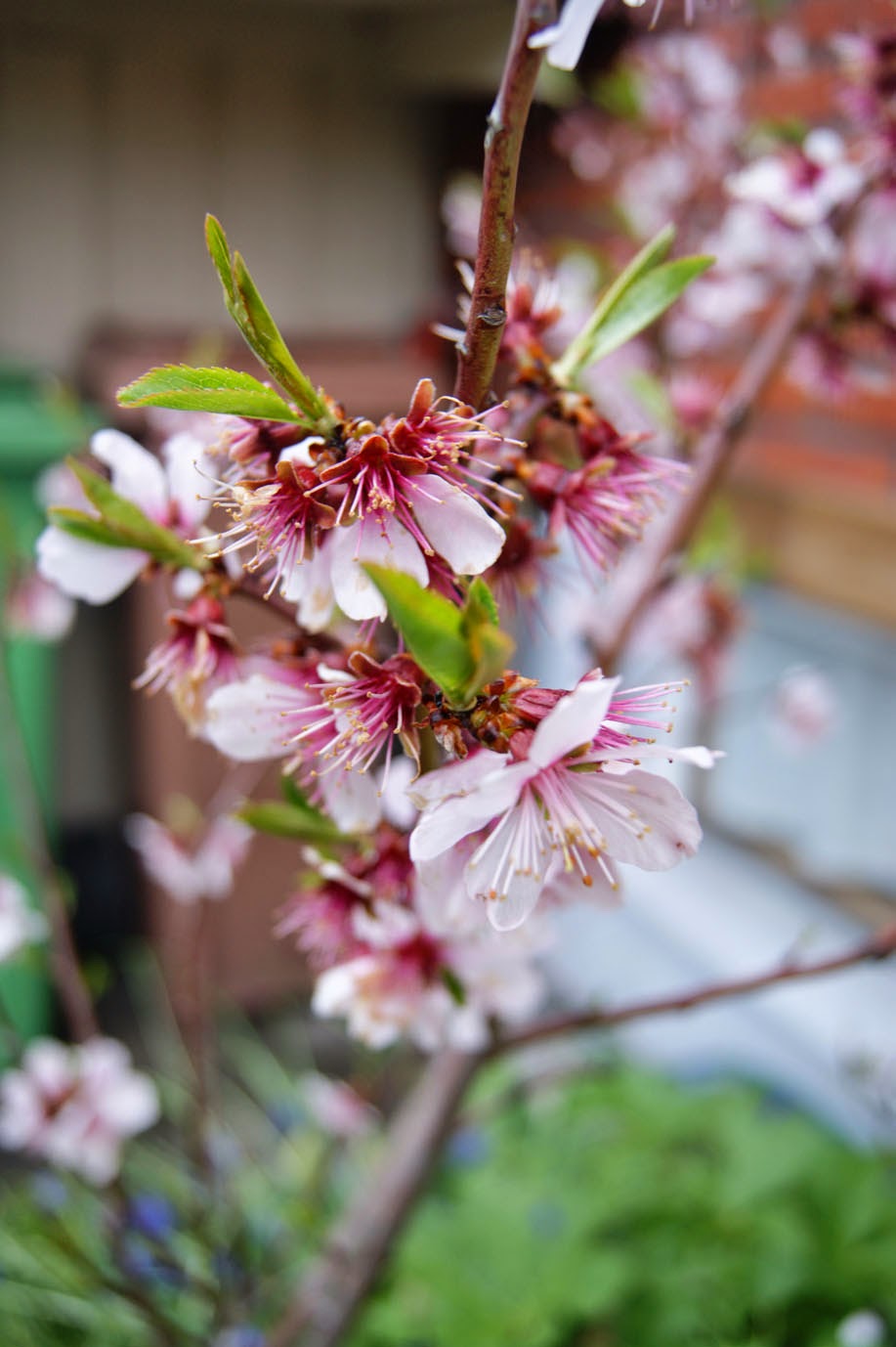 Majas skafferi: april 2014