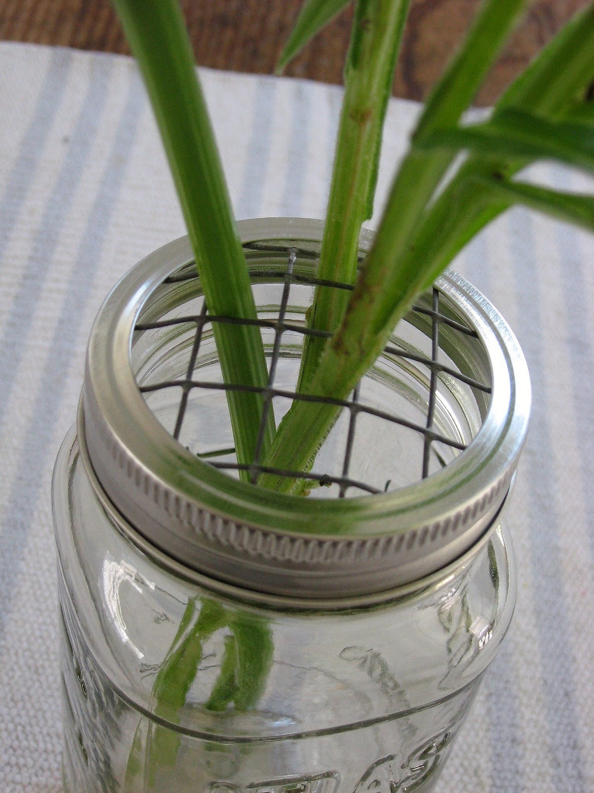 four corners design The mighty mason