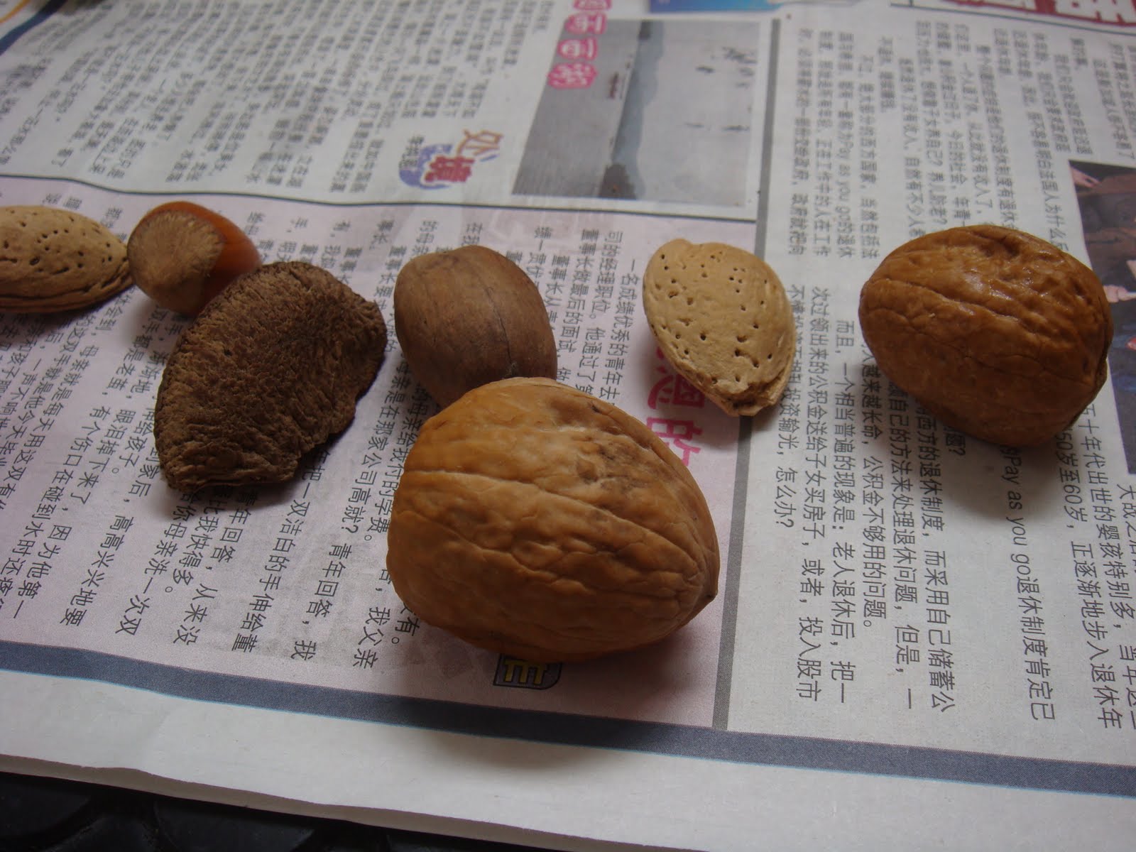 Love Nut