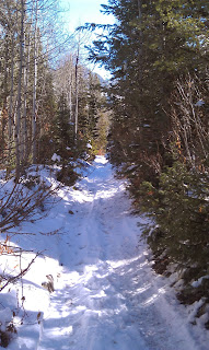 Mineral Fork Trail