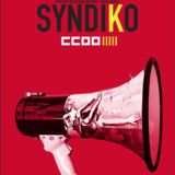 REVISTA SYNDIKO