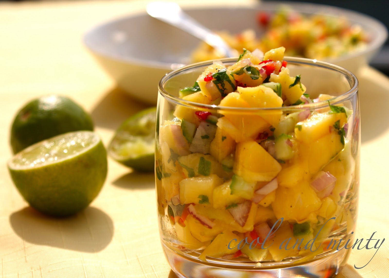 SALSA Z MANGO COOL & MINTY