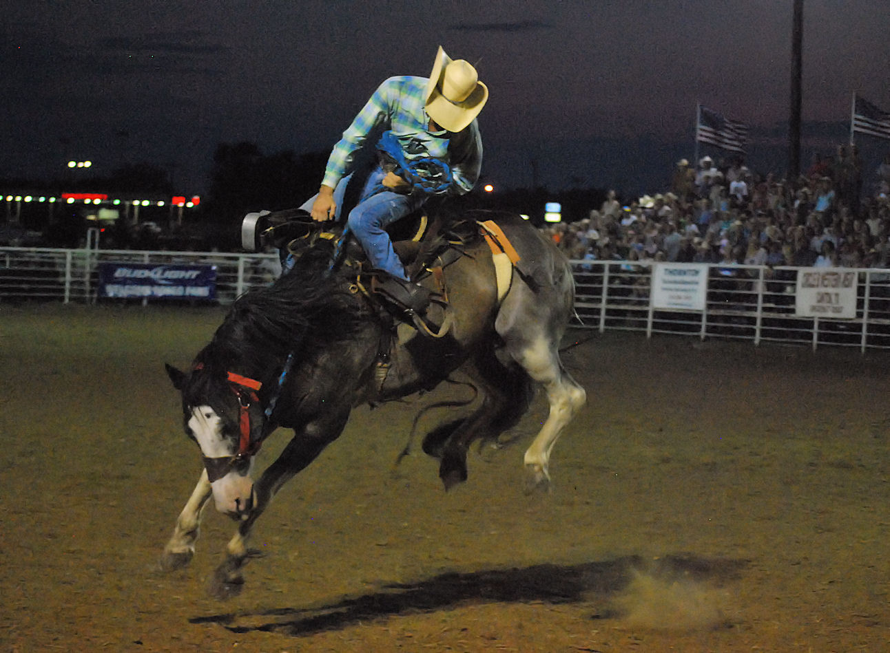 Rodeo Wills Park 2024 Binni Cherlyn