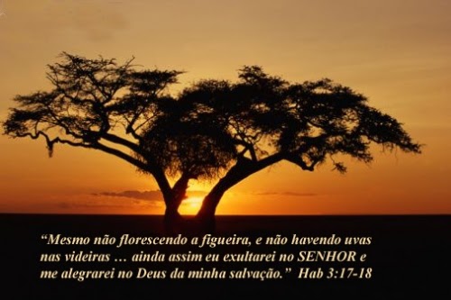 Assembleia de Deus de Gaurama Ainda que a Figueira não Floresça