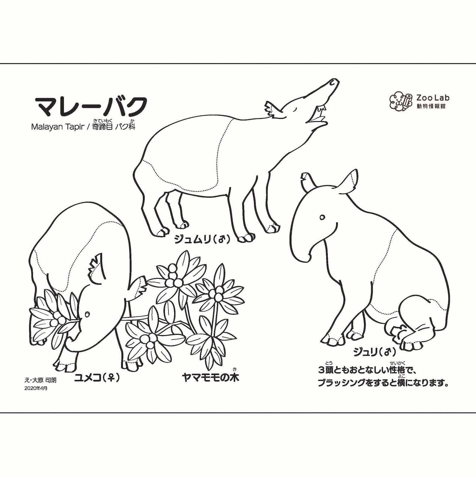 福岡市動物園ブログ 動物情報館zoolab 今週末のおでかけ ない 情報 にどうぶつぬりえ掲載