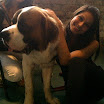 Bipasha Basu with Bentley Dog