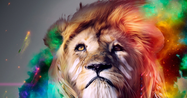 Lion Fecebook Cover |Facebook Cover Photos