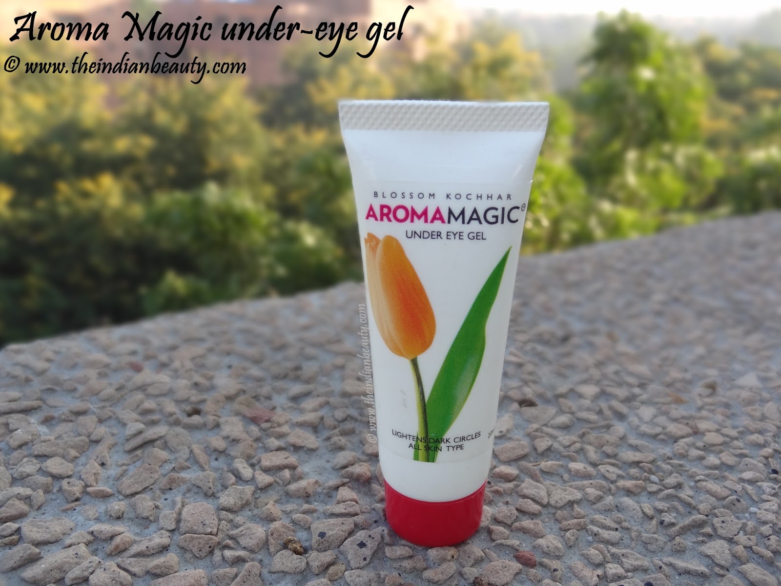 Aroma Magic Under Eye Gel Review, price The Indian Beauty Blog
