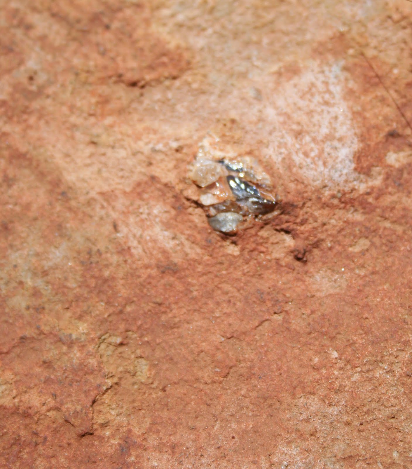 Enchanted Oak Diamond Hunting