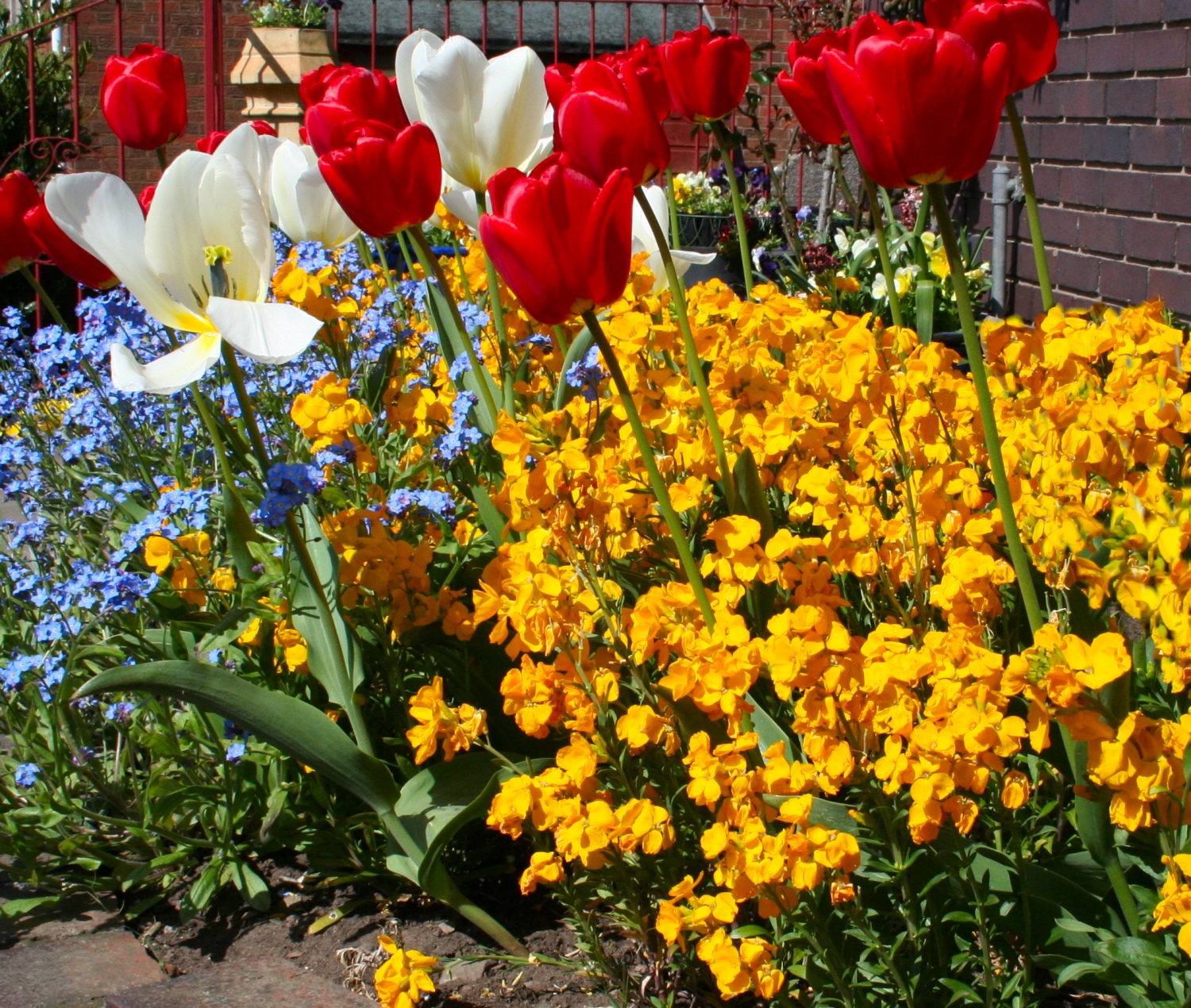 Scottish Artist and his Garden May 2013