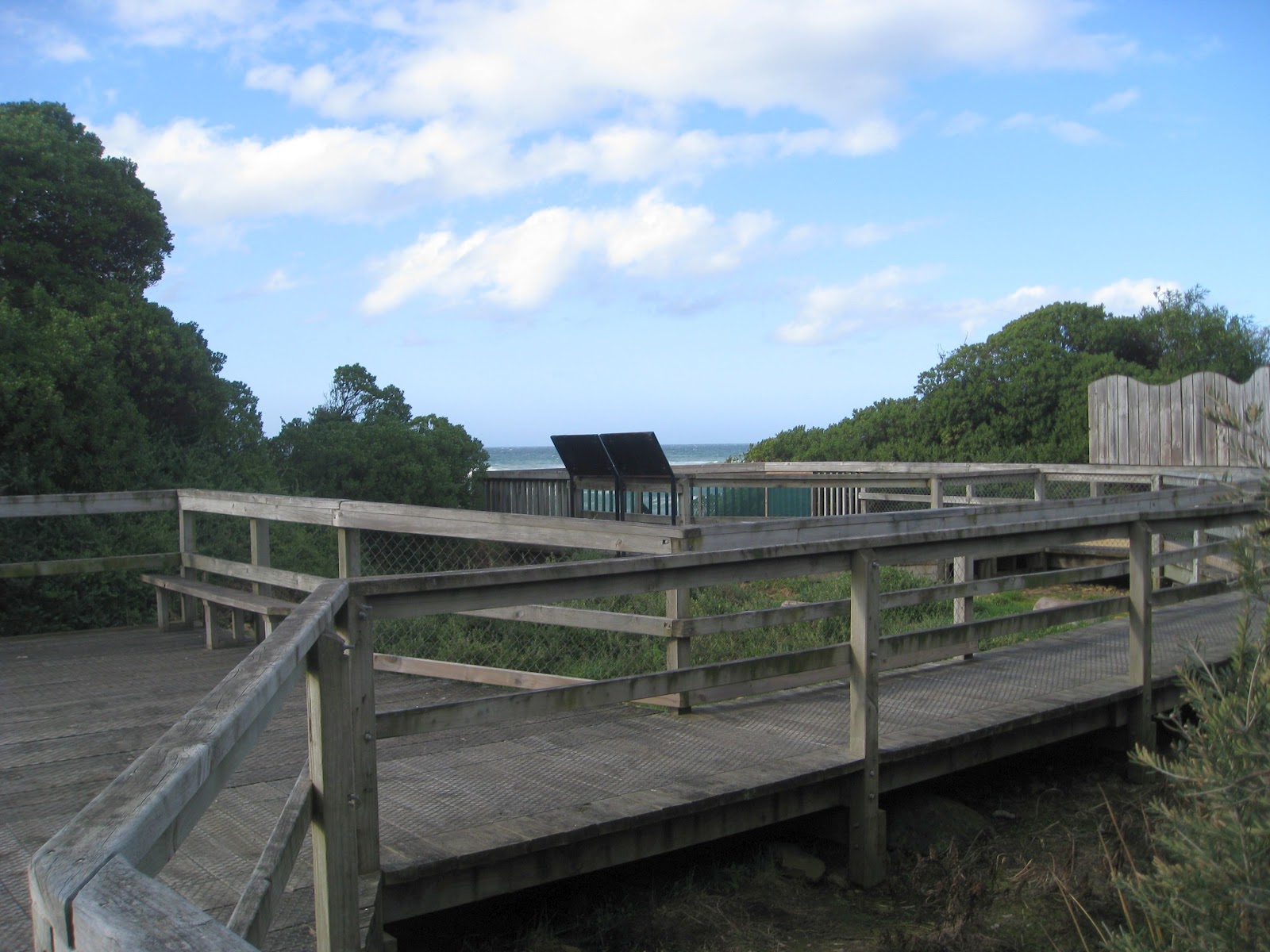Vicki's Fabric Creations: Little Penguins-Fairy Penguins