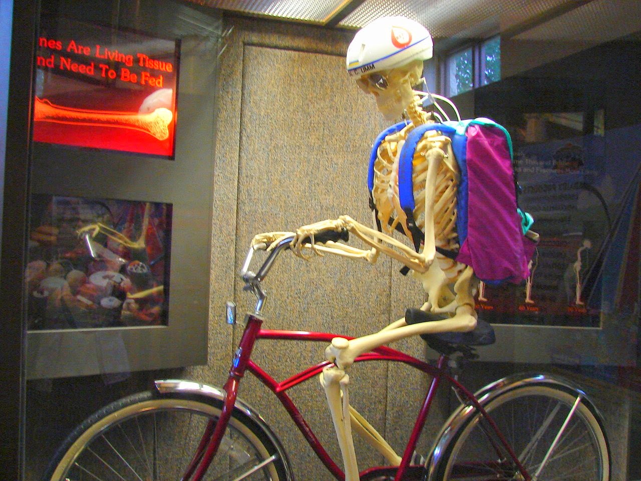 Expeditions by Tricia A "DAIRY AIR" EXPEDITION!