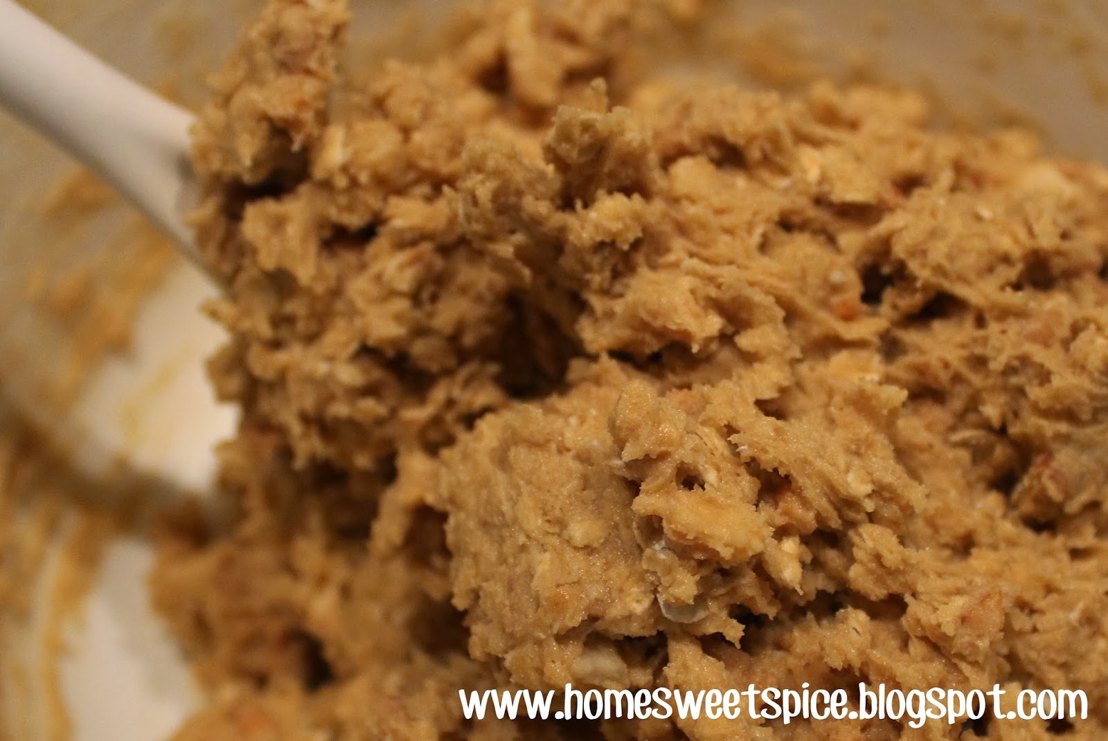 Home.Sweet.Spice Peanut Butter & Macadamia Nut Oatmeal Cookies