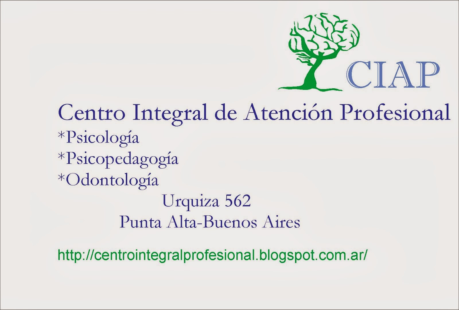 Centro Integral de Atención Profesional