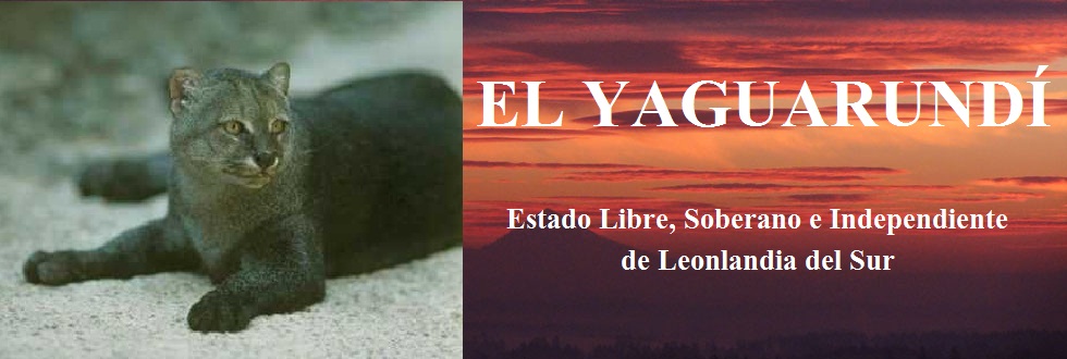 EL YAGUARUNDÍ