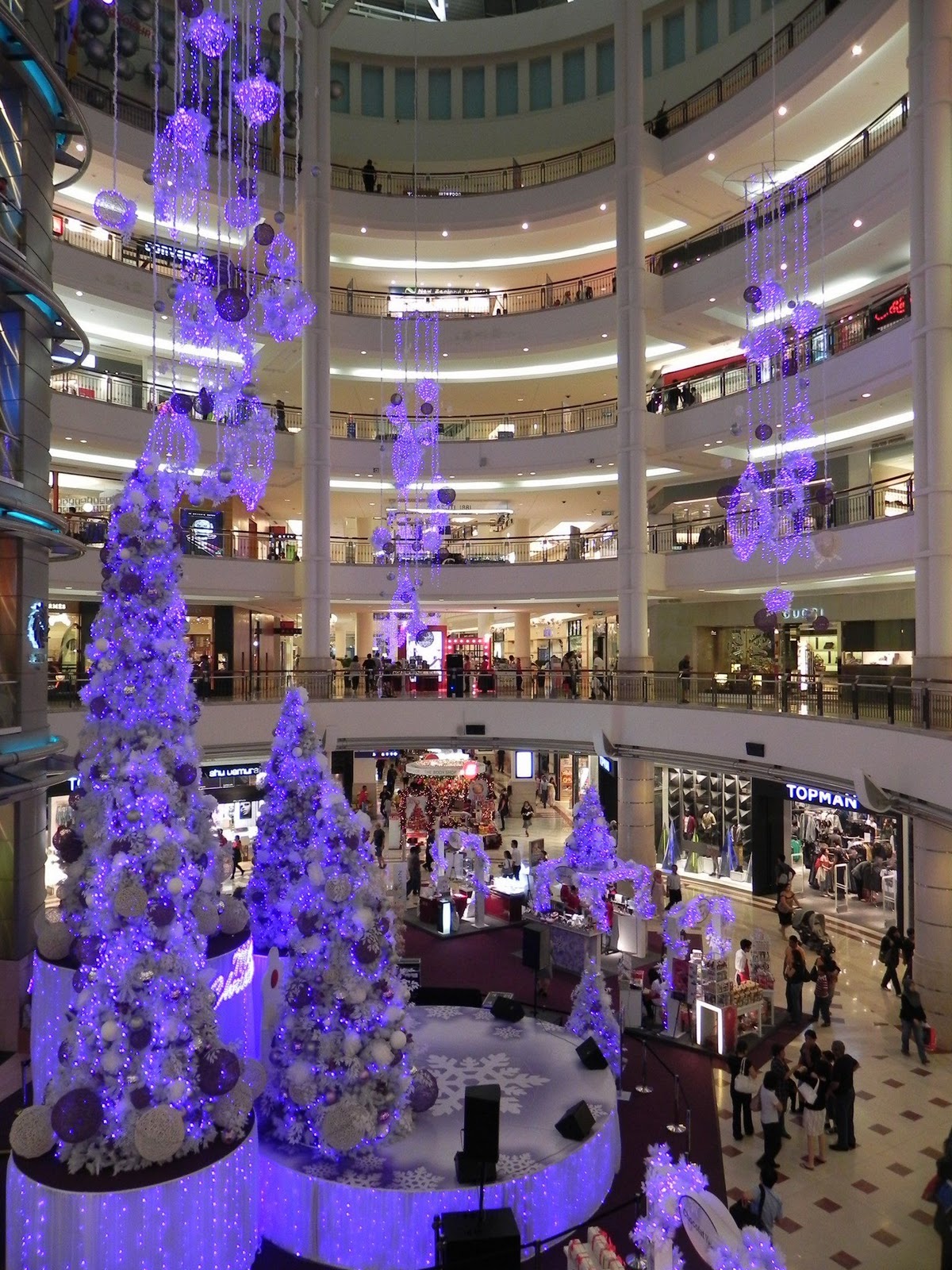 saturnalia tree saturnalia tree