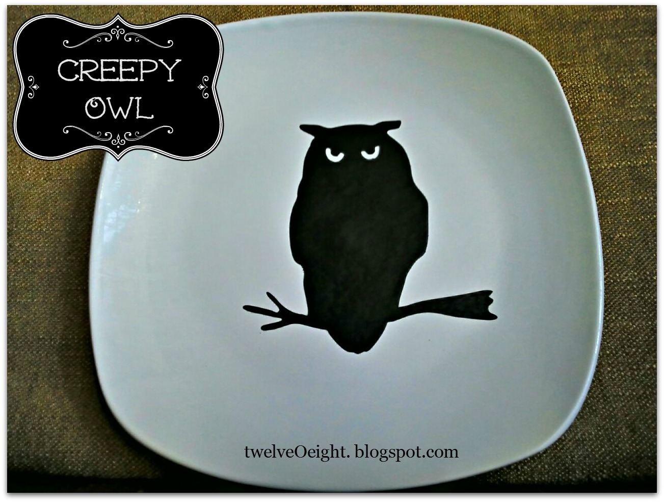 A Book Announcement Whooo Knew The Truth About Owls Annette