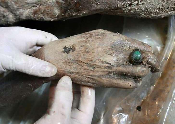 NEWS and my views 700 years old preserved Mummy found in China (2011)