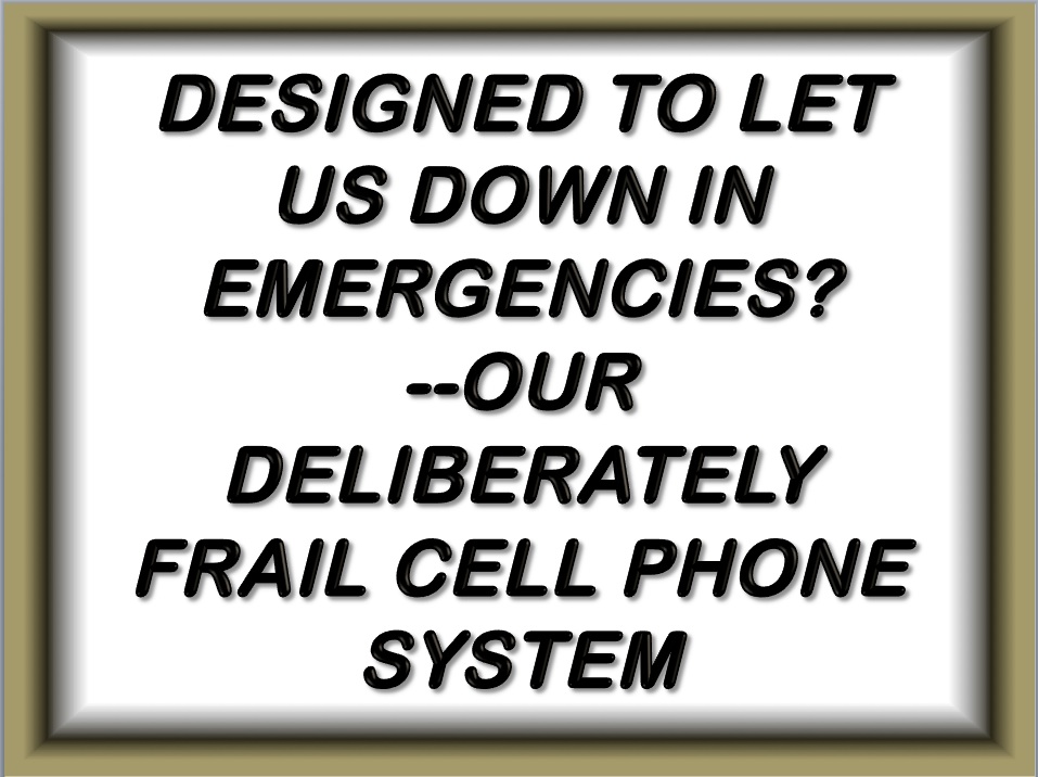 CONTRARY BRIN Designed To Let Us Down... our deliberately frail cell