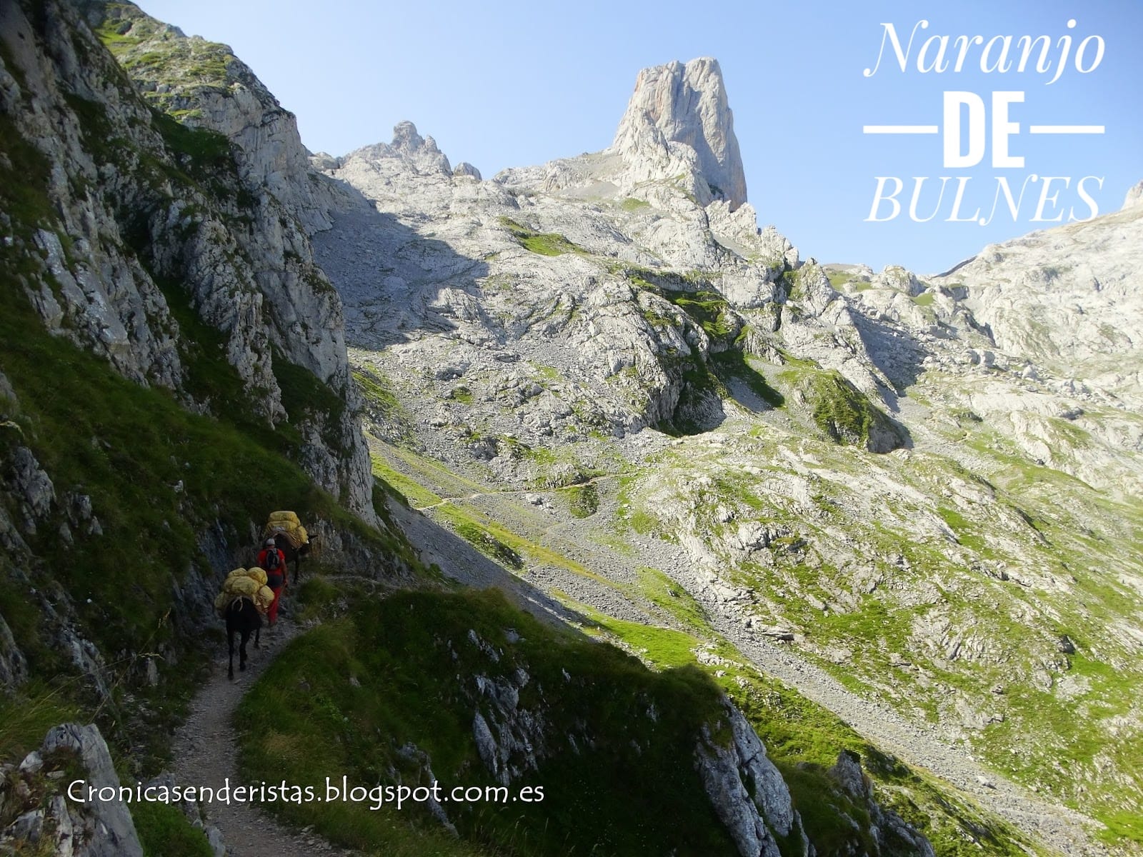 Picos de Europa