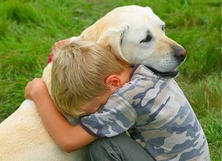 Mascotas, Beneficios que Aportan al Hogar Mascotas, Beneficios que Aportan al Hogar