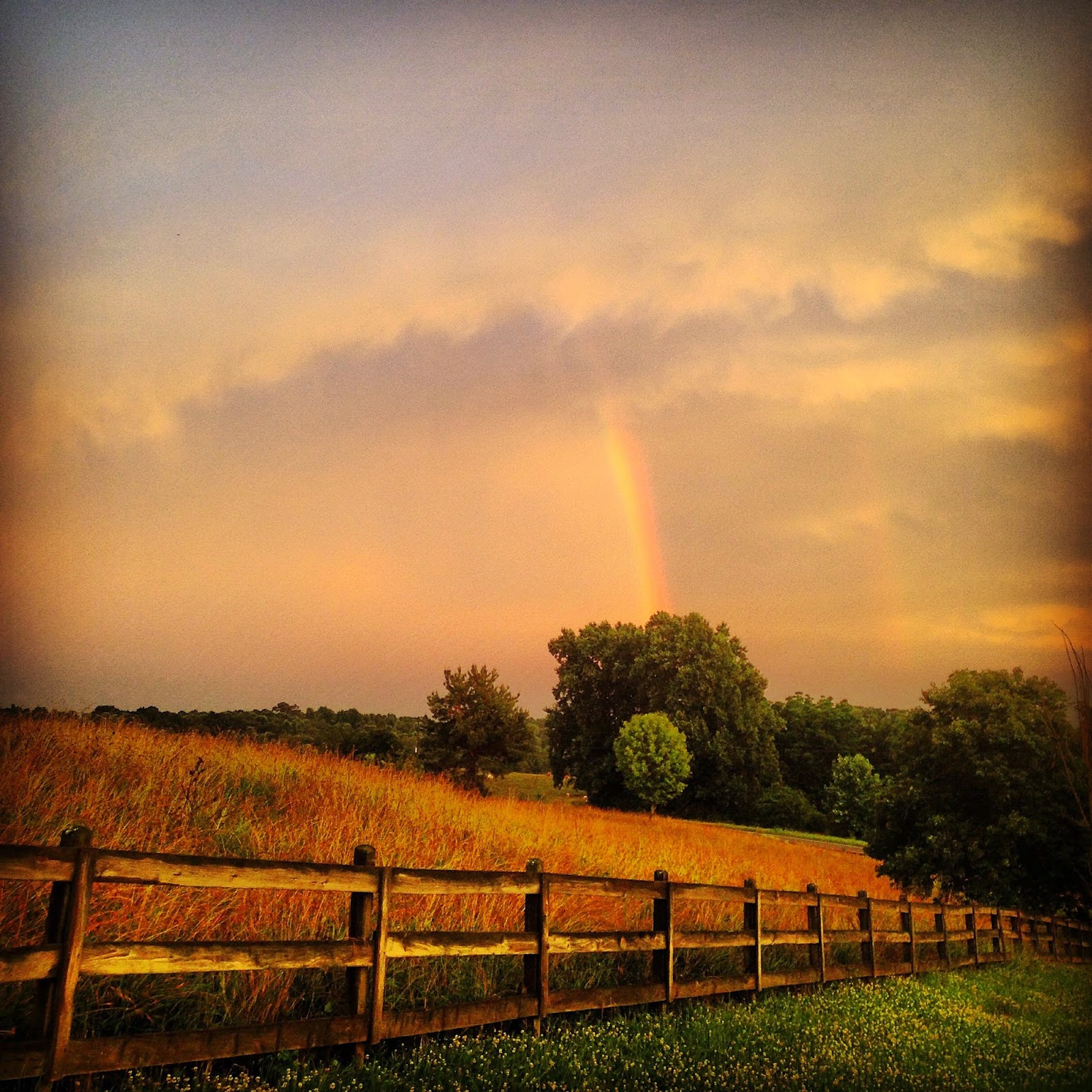 Soquee River Days "Misty Soque" and "Soque Watershed" Photos