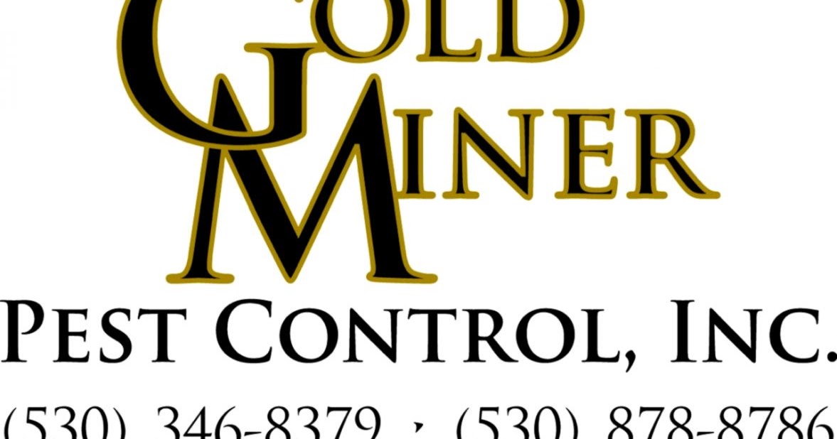 Wildlife Pest Control | Wallpapers Gallery