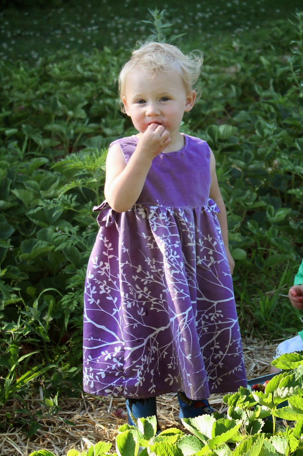 born imaginative. Thrifted. Berry kids.