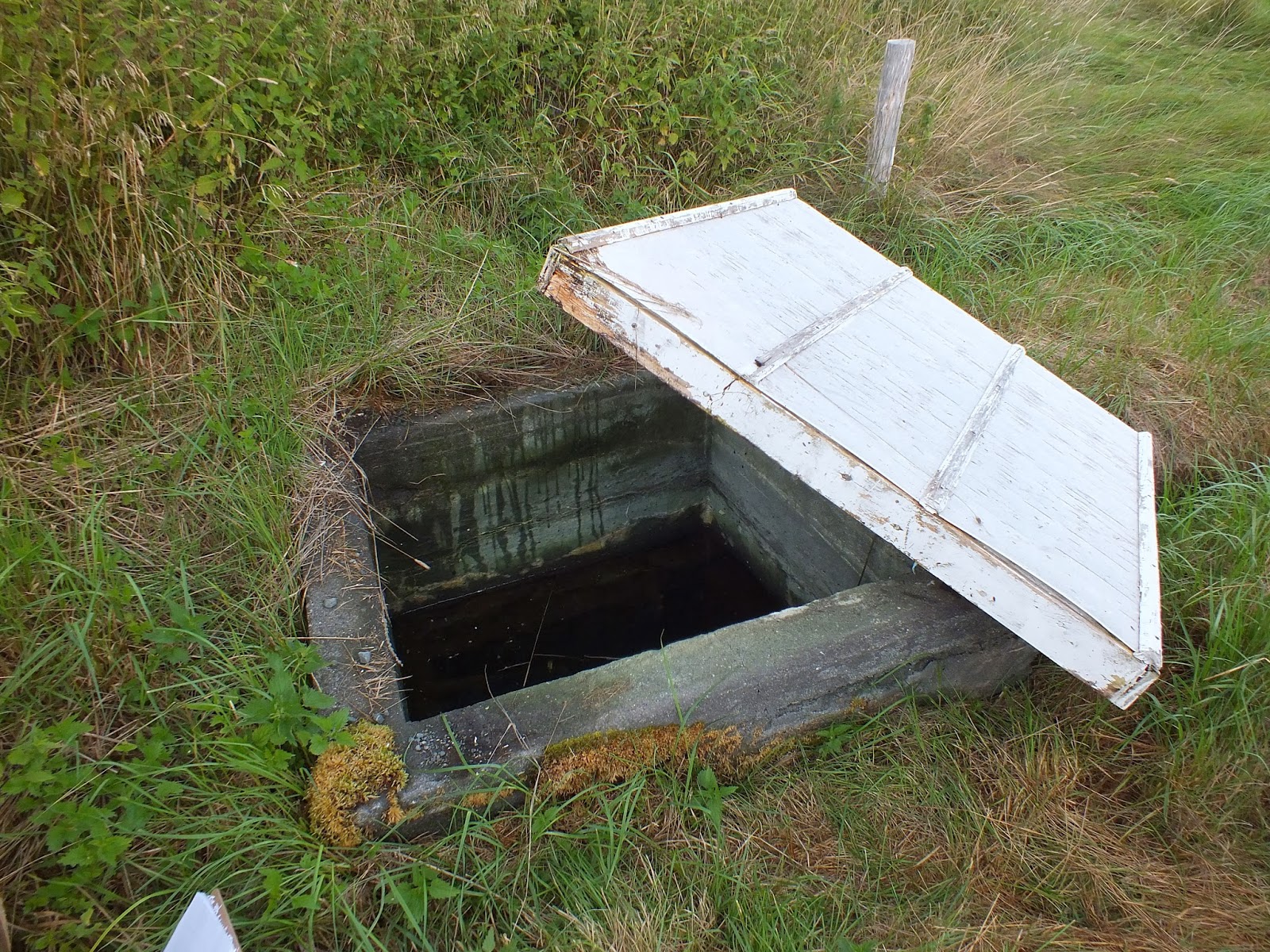 ICH Blog Reaching The Bottom of the Wells and Springs Project