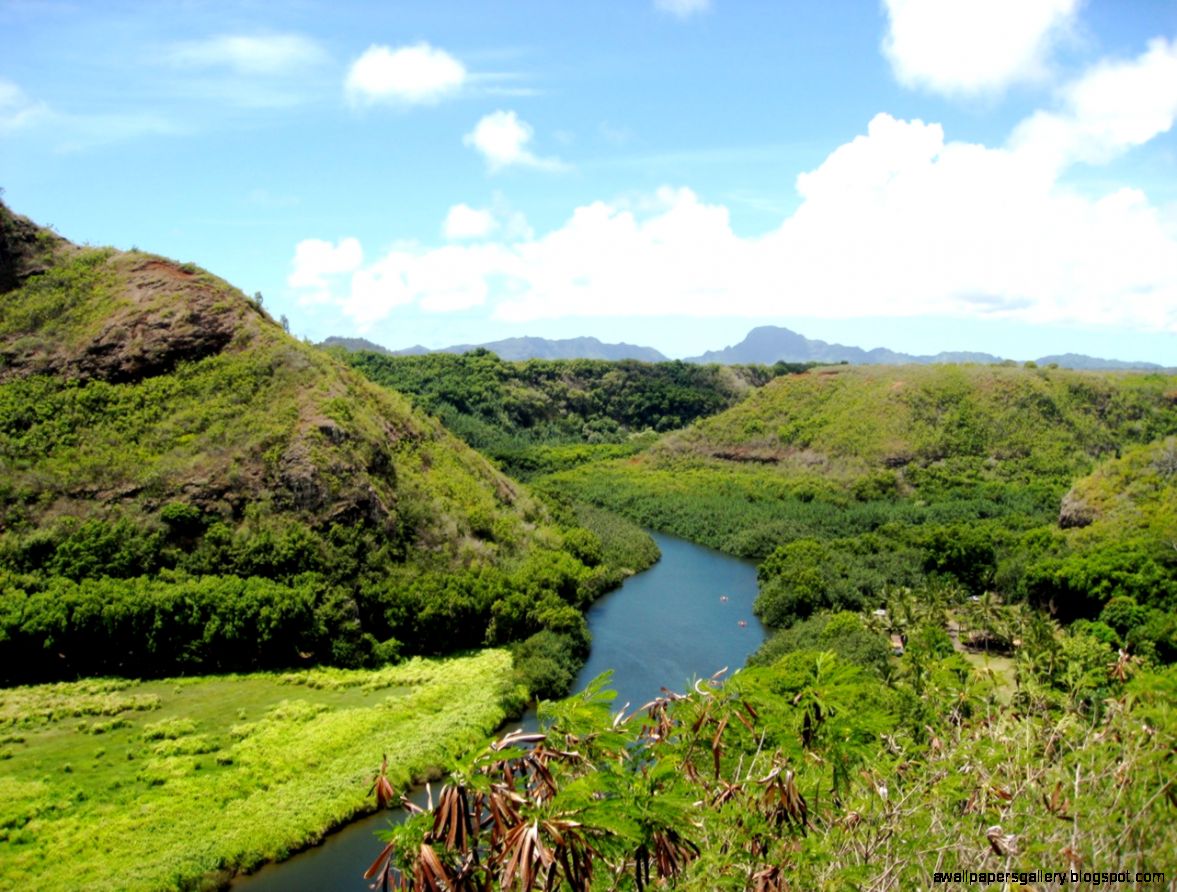 Wailua River Valley 2 Wailua River Valley 2