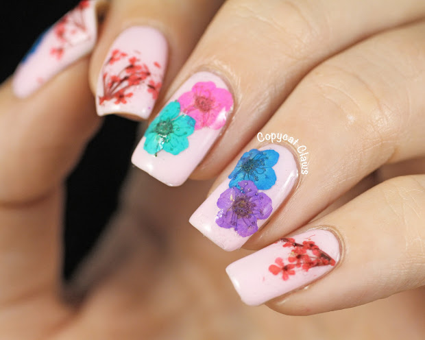 copycat claws real dried flower