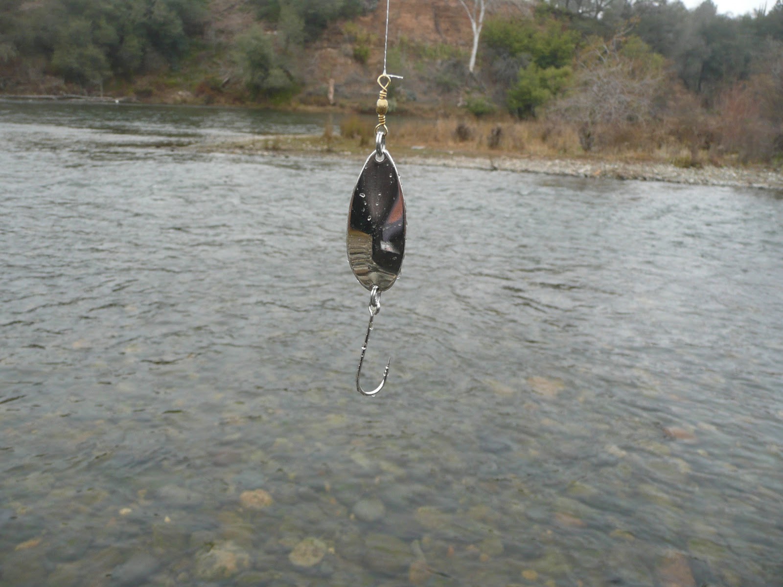 Northern California Trout I May Never Get This Steelhead Thing Right